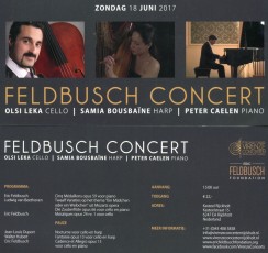 concert Rycholt 2017